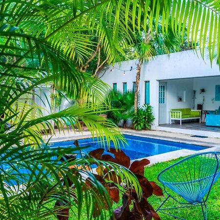 Hotel Casa Borush By Ecoplaneta Cancún Exteriér fotografie